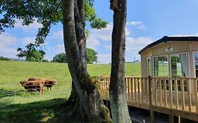 Gaerhyfryd Caravan Site